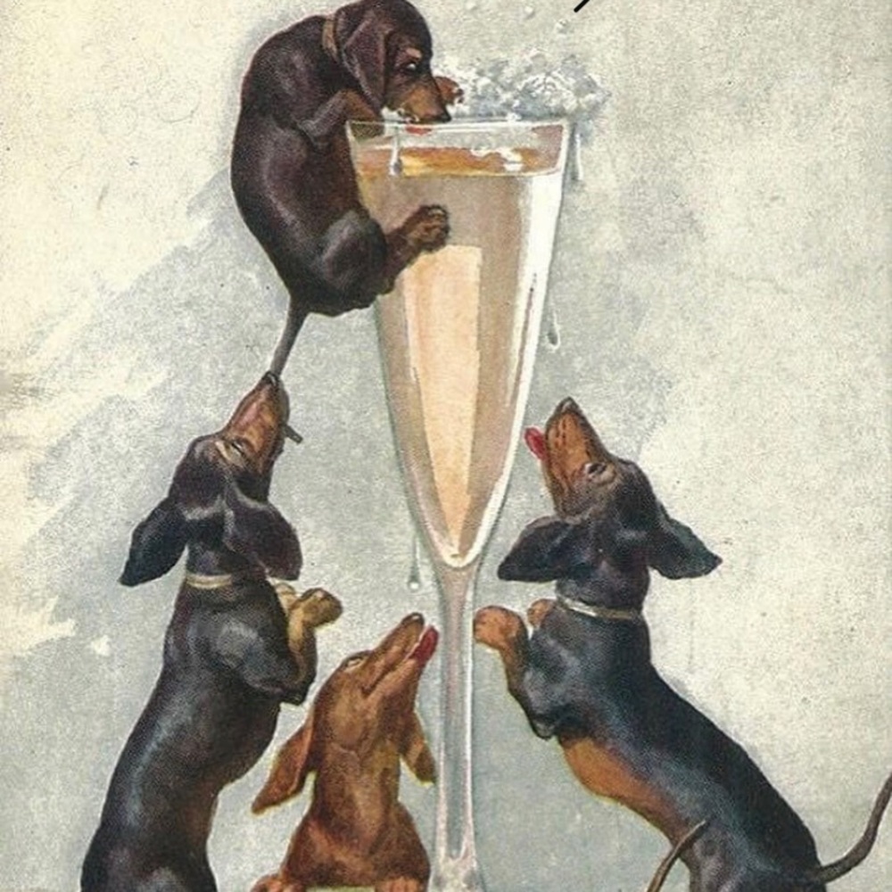 Bookmark my closet. Doxies1designs Come see us.